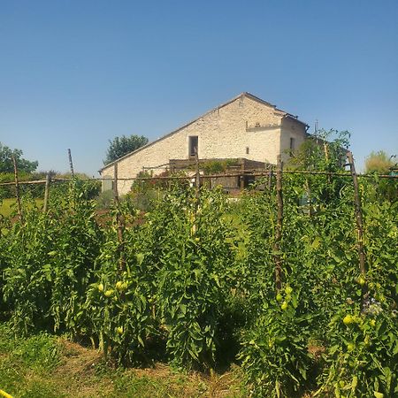 Au Mas De Janita Hotel Cahuzac-sur-Vère Buitenkant foto