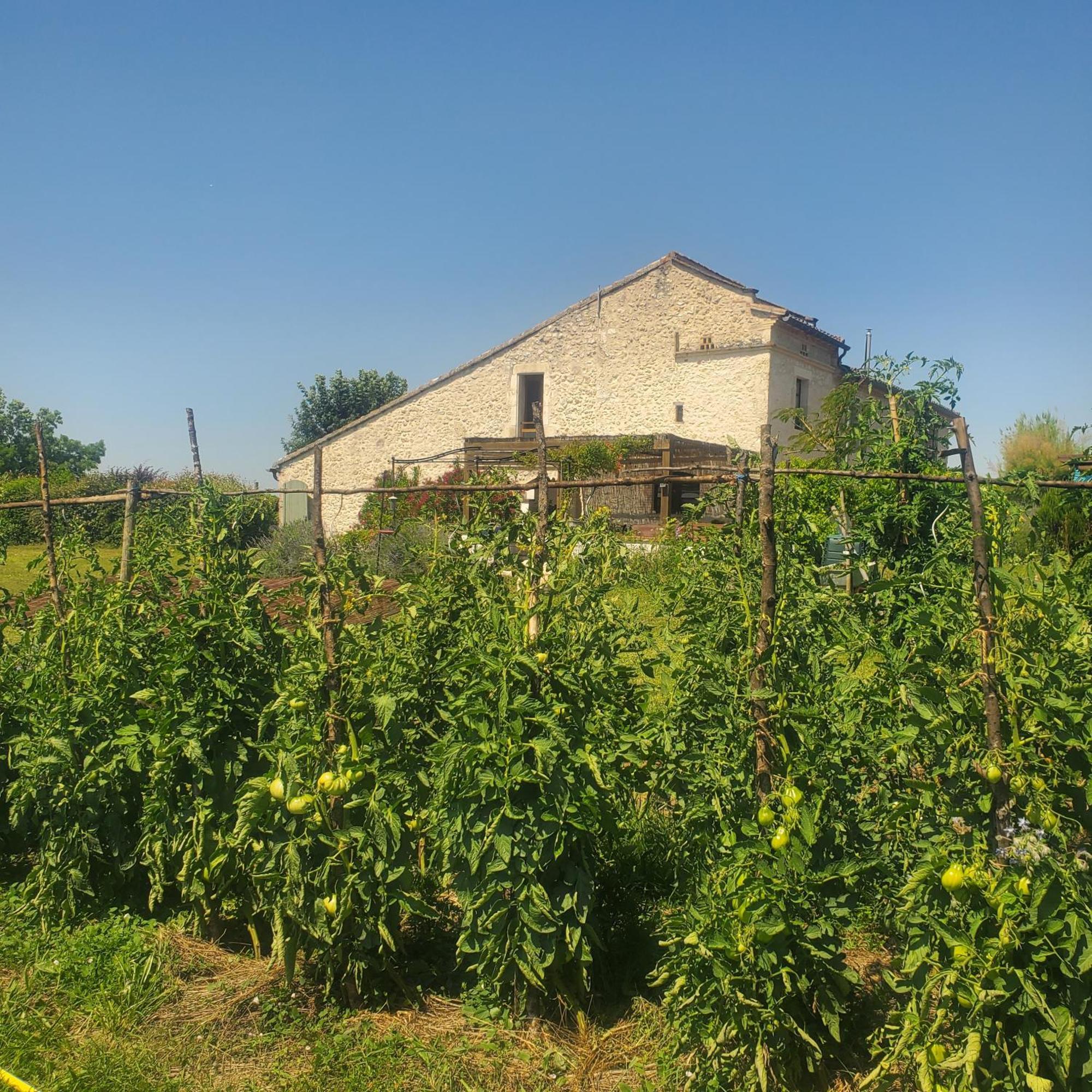 Au Mas De Janita Hotel Cahuzac-sur-Vère Buitenkant foto